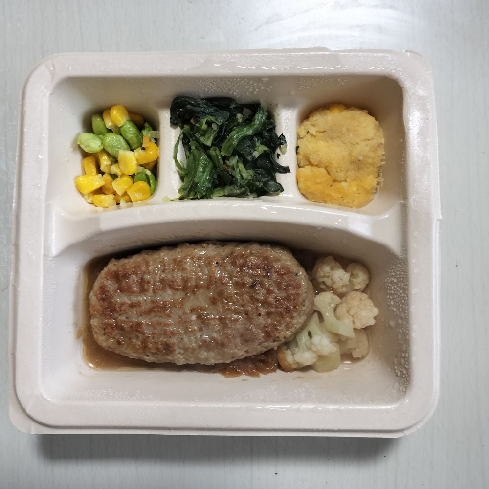 ndsh冷凍宅配弁当